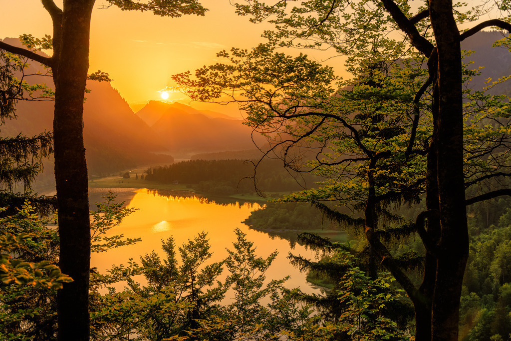 Weitsee Bäume | ap-design // andreas plenk - Realisiert mit Pictrs.com