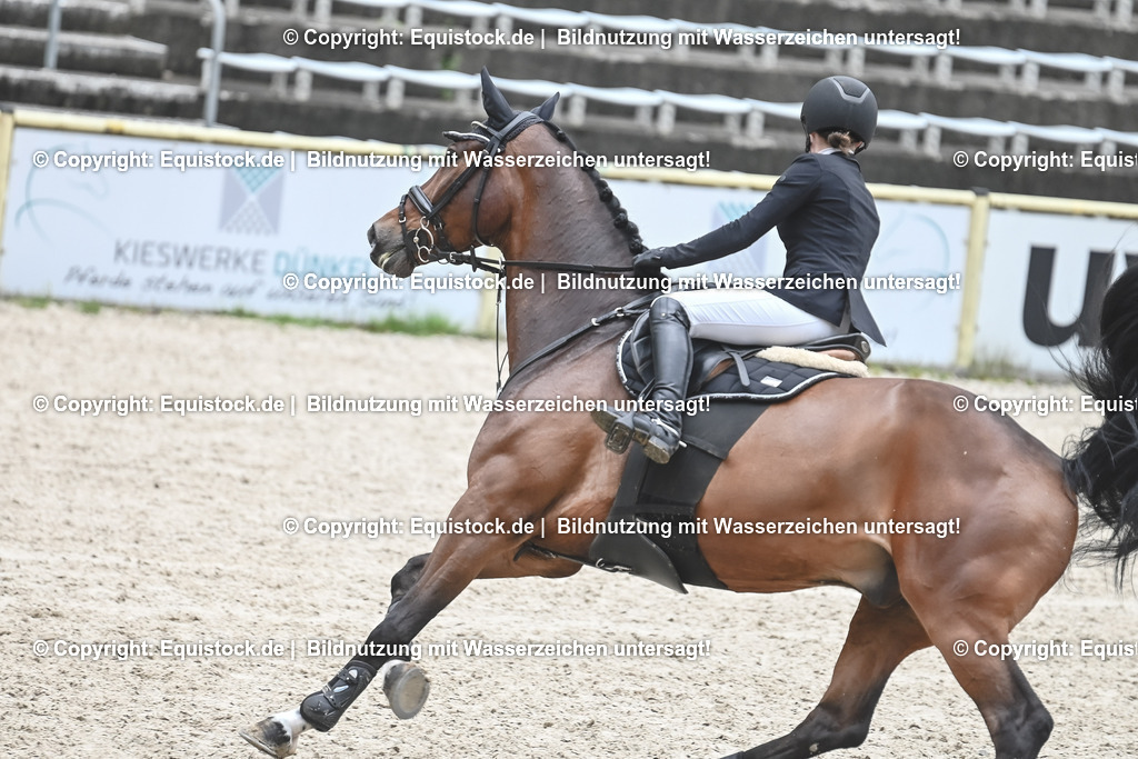 20230514_CCI2_Section1_Springen_0102 | equistock