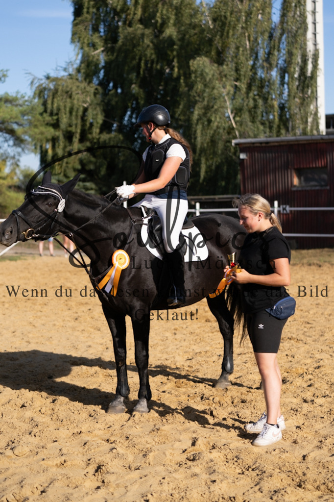 A7V02744 | Pferdefotograf