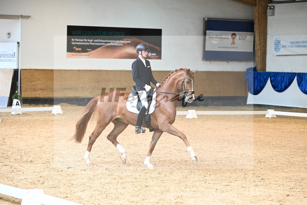 Kat-Nr. 66 Falcon Crest_Freund_14240844 | hf-fotografie - Realisiert mit Pictrs.com