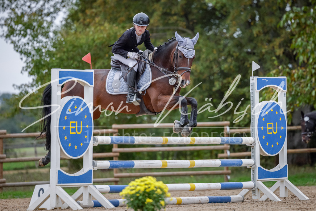 20251012-_3LI4611 | Tierfotografie Pferde, Hunde, Katzen, Haustiere.
Turnierfotografie Reitturniere, Reiten, Springreiten, Dressur in Hanau, dem Main-Kinzig-Kreis und dem Rhein-Main- Gebiet um Frankfurt