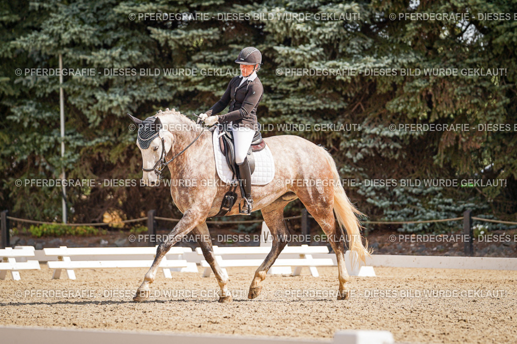 DSC01032 | Pferdegrafie