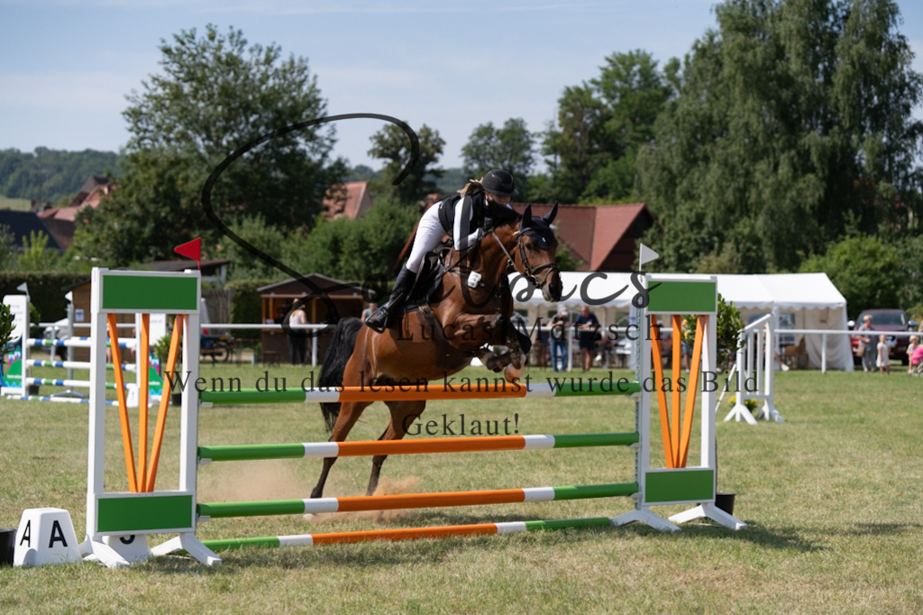 A7V01640 | Pferdefotograf