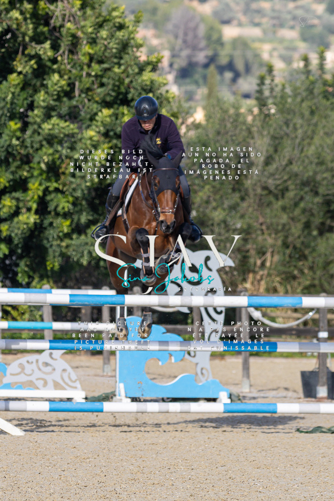 IMG_5750 | s-jay-photography - Realisiert mit Pictrs.com