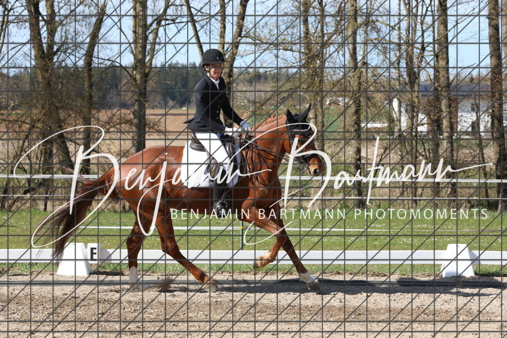 AZ2A4906 | Benjamin Bartmann Photomoments