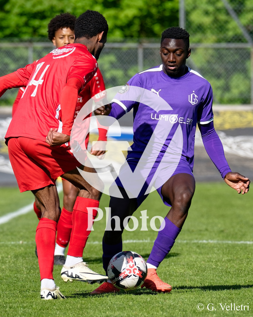 DSC_7060 | Velletri Photo