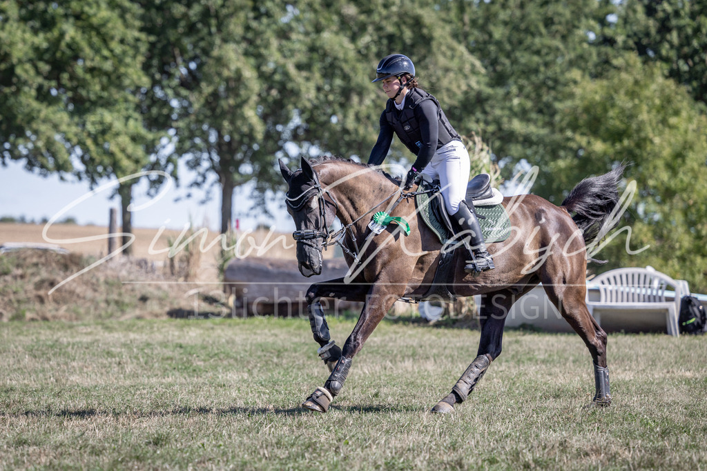 20260906-_3LI2791 | Tierfotografie Pferde, Hunde, Katzen, Haustiere.
Turnierfotografie Reitturniere, Reiten, Springreiten, Dressur in Hanau, dem Main-Kinzig-Kreis und dem Rhein-Main- Gebiet um Frankfurt