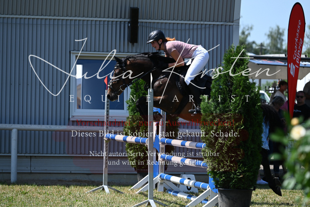 DSC_0779 | Pferde- und Turnierfotografie in Westsachsen. Pferdeportraits, Auftragszeichnungen und intuitive Kunst.
