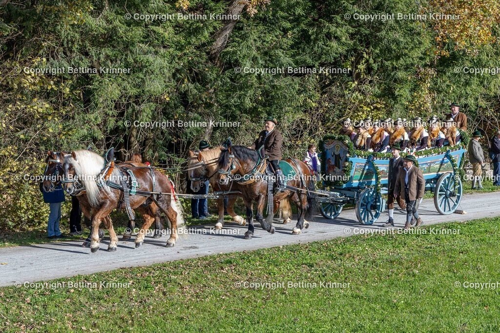 LBT24-808 | foto-bettina-krinner - Realisiert mit Pictrs.com