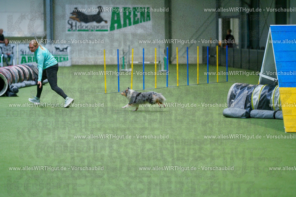 @allesWIRTHgut_Tierfotografie - www.allesWIRTHgut.de - 2604250845-7R507625 | Professionelle Tierfotografie in Mönchengladbach von Daniel Wirth (allesWIRTHgut). Liebevolle & natürliche Bilder von Hunden & Katzen für unvergessliche Erinnerungen.