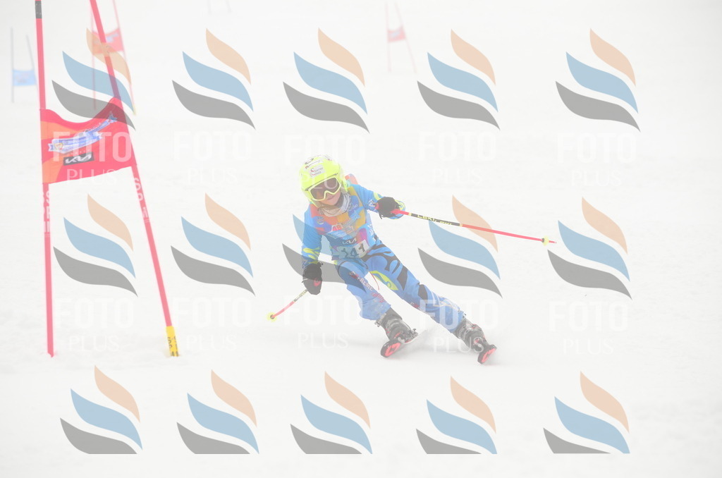 C1711 | holidayphoto