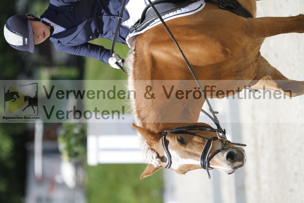 _MG_5138 | equestrian-live-com