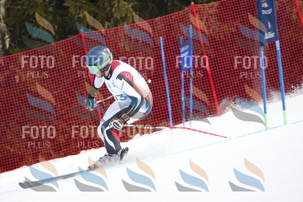 D8278 | holidayphoto