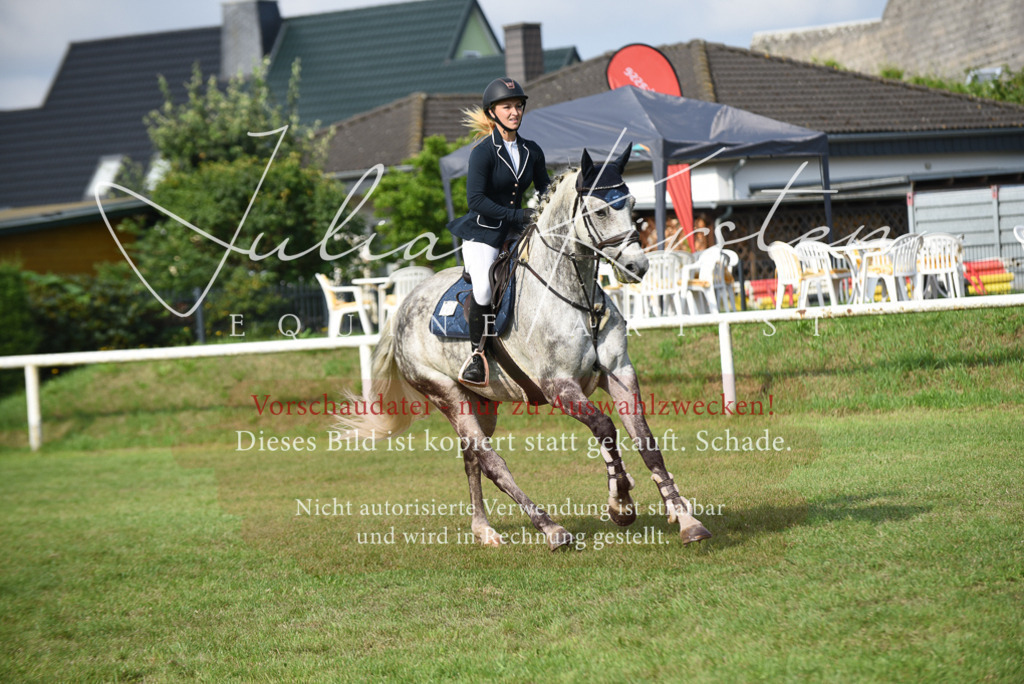 DSC_8761 | Pferde- und Turnierfotografie in Westsachsen. Pferdeportraits, Auftragszeichnungen und intuitive Kunst.