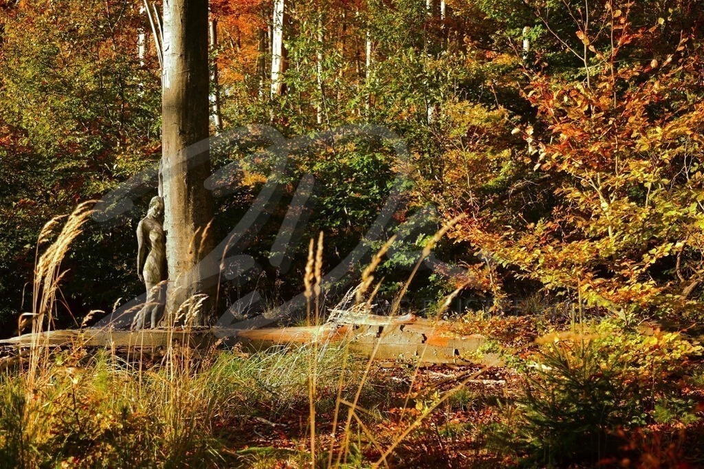 NatureArt-HERBSTRIEPEN_0157a | Herbstfrau am Baum gelehnt | #004 | Modell: Tina | Foto: Andreas Meier - Realisiert mit Pictrs.com