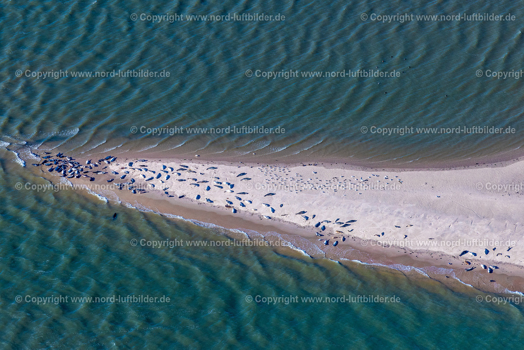 Norderney_Seehundbänke_ELS_5478091022 | NORDERNEY 09.10.2022 Küsten- Landschaft und Sandbank - Strukturen " Seehundbank " in Norderney im Bundesland Niedersachsen, Deutschland. // Coastal landscape and sandbar - structures " Seehundbank " in Norderney in the state Lower Saxony, Germany. Foto: Martin Elsen