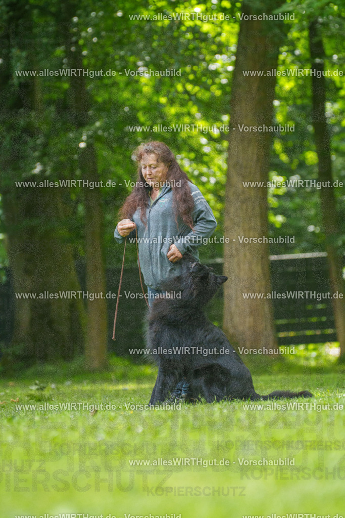 @allesWIRTHgut_Tierfotografie - www.allesWIRTHgut.de - 7R501655 | Professionelle Tierfotografie in Mönchengladbach von Daniel Wirth (allesWIRTHgut). Liebevolle & natürliche Bilder von Hunden & Katzen für unvergessliche Erinnerungen.
