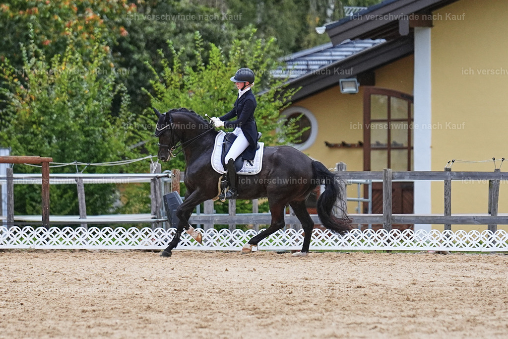 8_1-212-Klasse S_  -Marixx-4276 | working equitationturnier fotograf videograf stoibphotography marixx film working equitation deutschland reitsport turnierfotografie eventfotografie equestrian events