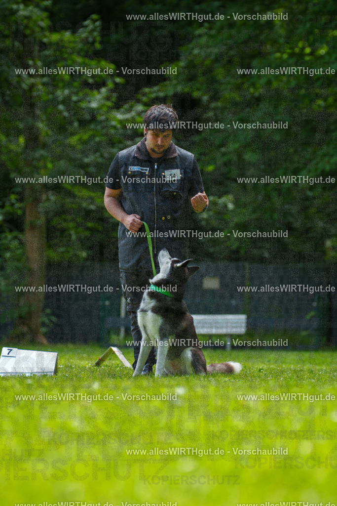 @allesWIRTHgut_Tierfotografie - www.allesWIRTHgut.de - 7R500919 | Professionelle Tierfotografie in Mönchengladbach von Daniel Wirth (allesWIRTHgut). Liebevolle & natürliche Bilder von Hunden & Katzen für unvergessliche Erinnerungen.