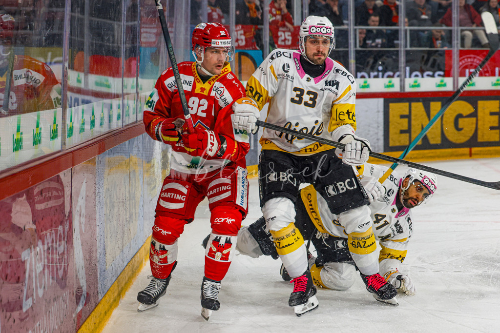 EHCB vs HCA 20260127_wb-9272 | Sportbilder, Sportfotograf, Hochzeits- und Eventfotografin, Flugshows, Portraits und Tiershooting, Aviation, Downhill, Nationalleague, Swissleague, International