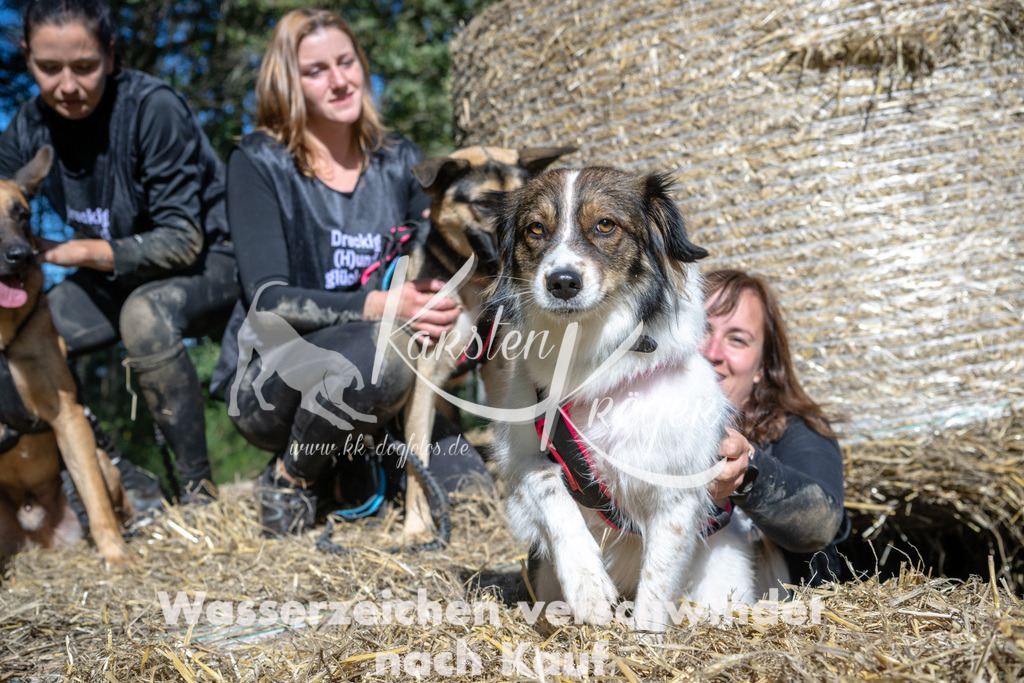1245_ZZ92122-2 | kk-dogfotos