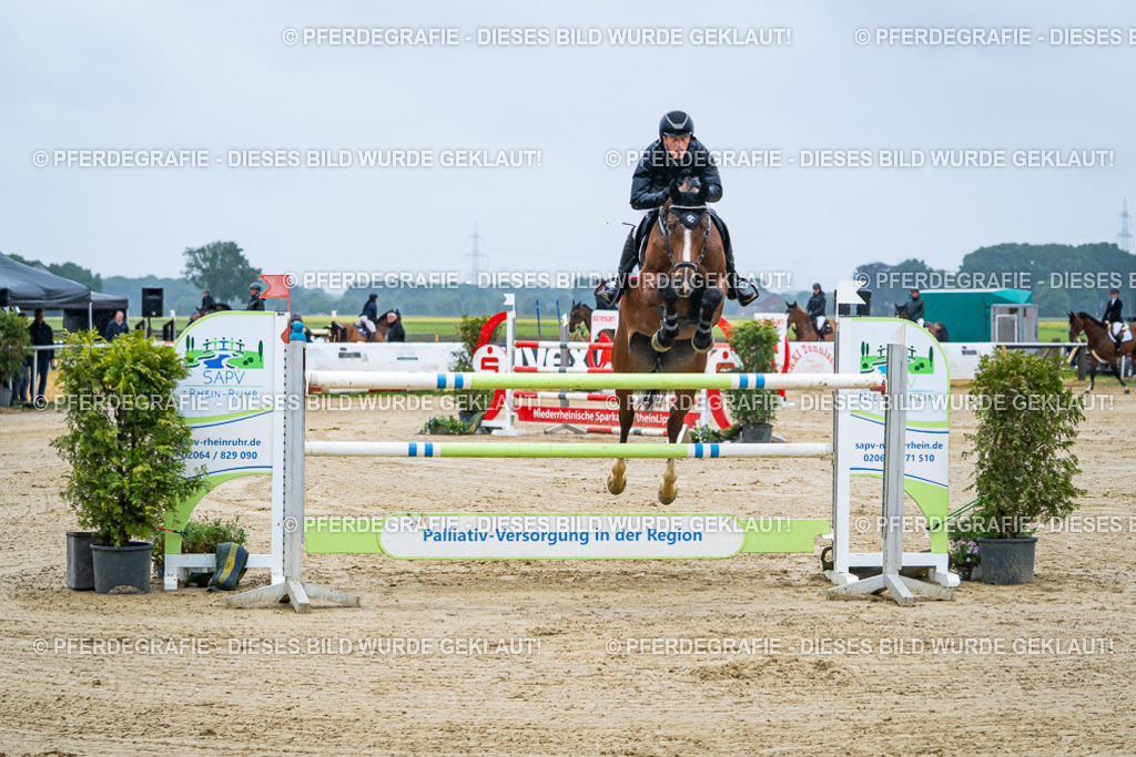 DSC09855 | Pferdegrafie