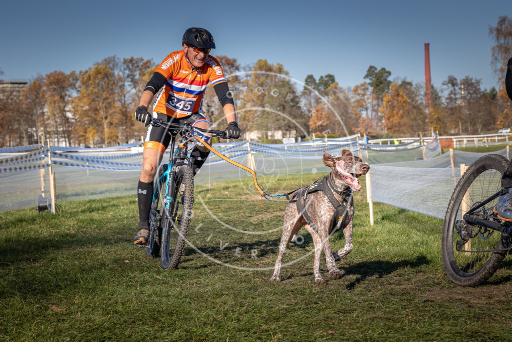CaniXpix_0L8A6013 | Hundefotografie, Tierfotograf, Pfotenfotografie, Fotoshooting Hund, Hunde Portrait, Hundesport, Hundeportraits, Heideshooting, Hunde, Sportfotograf, Hundefotograf, Turnierhundsport, THS,  - Realisiert mit Pictrs.com