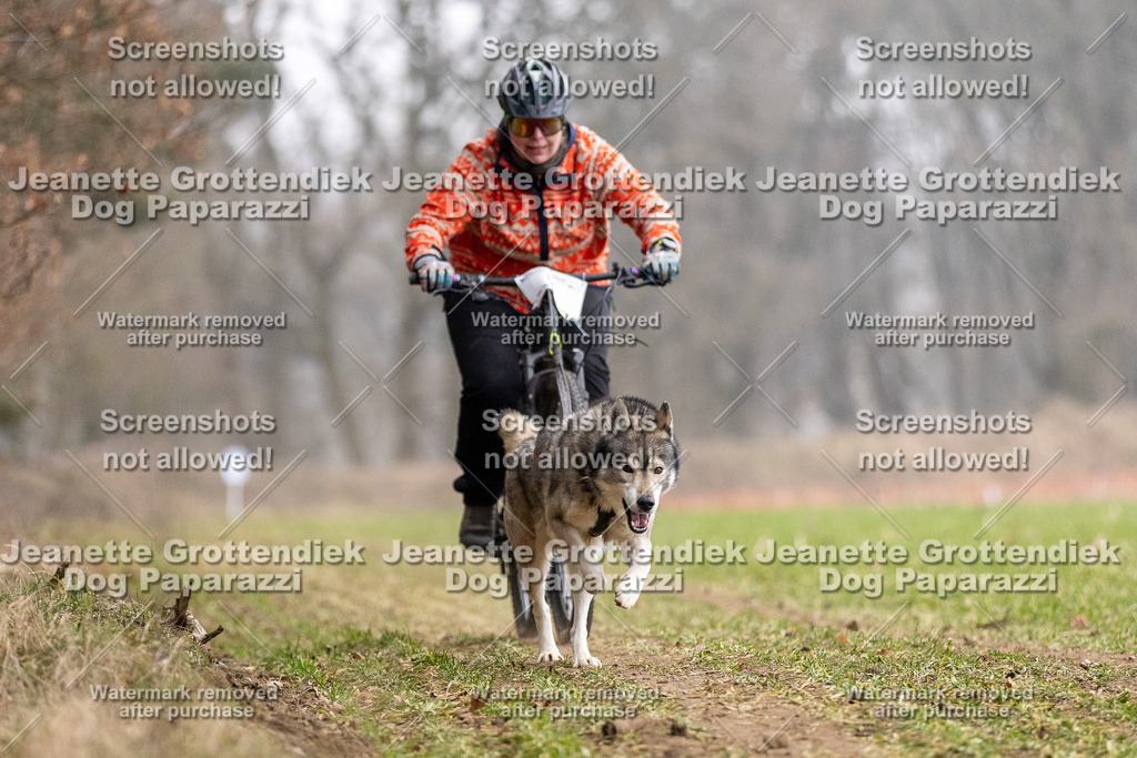 Dog Paparazzi - Plate 2026-13 | Dog Paparazzi Jeanette Grottendiek Fotografie & Videografie - Realisiert mit Pictrs.com