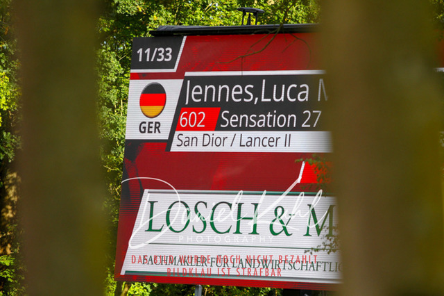 DKP42535 | Turniersportfotografie; Pferdefotografie; Dressurfotografie