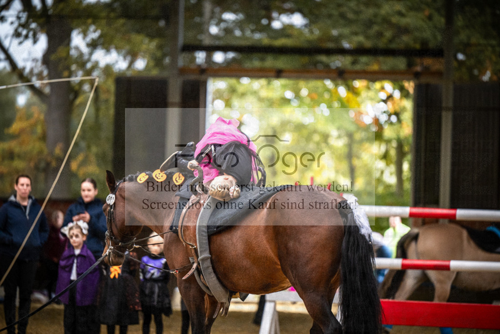 DOS_0050 | Entdecke hochwertige Reitturnierfotos von Foto Oger. Professionell, emotional und authentisch – jetzt Lieblingsmomente im Shop bestellen.Deutschlandweite Turnierfotografie. - Realisiert mit Pictrs.com