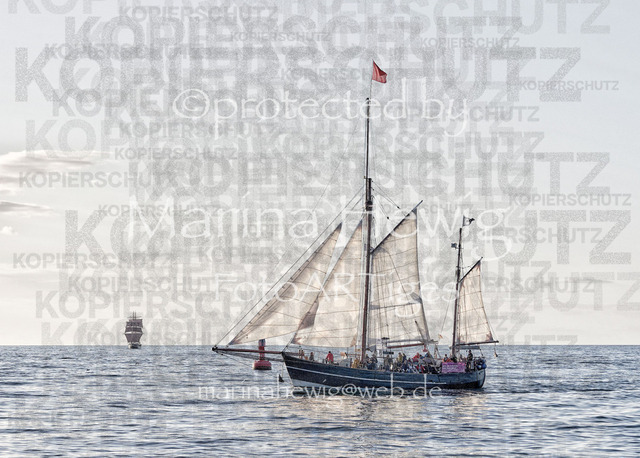 _MCH7399_Marina Hewig | Fotografie, FotoArt, PferdesportArt, Pferdesportfotografie, Landschaftsfotografie, Reisefotografie, Reise, Pferde - Realisiert mit Pictrs.com