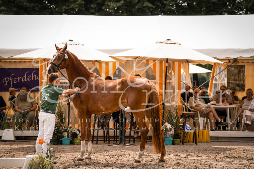 4.Fr00158 | Leoni Ertmer Photography - Realisiert mit Pictrs.com