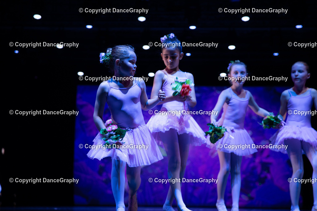 GPHY4874 | DanceGraphy - Realisiert mit Pictrs.com