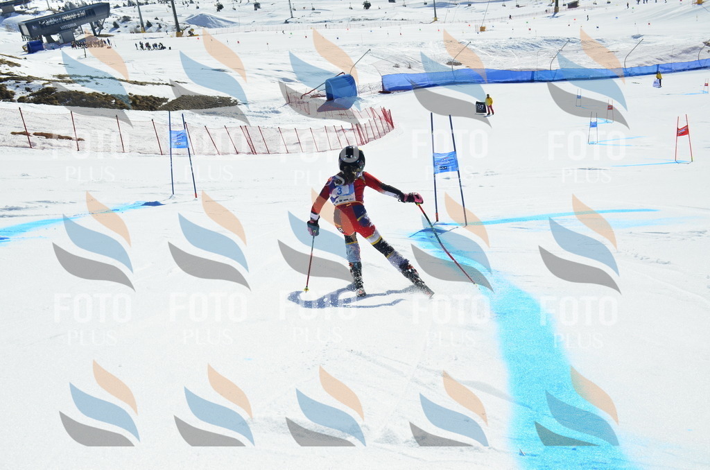 _ELE9712 | holidayphoto