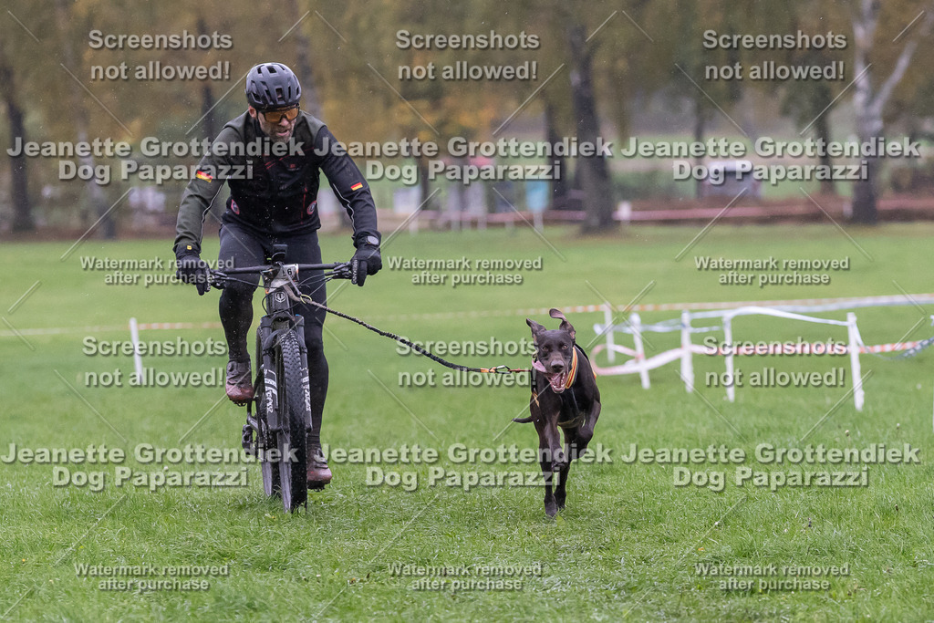 Dog Paparazzi - SD CaniX Championship 2025-926 | Dog Paparazzi Jeanette Grottendiek Fotografie & Videografie - Realisiert mit Pictrs.com