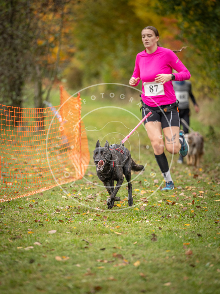 Pfotenfotografie_DV3A3205 | Hundefotografie, Tierfotograf, Pfotenfotografie, Fotoshooting Hund, Hunde Portrait, Hundesport, Hundeportraits, Heideshooting, Hunde, Sportfotograf, Hundefotograf, Turnierhundsport, THS,  - Realisiert mit Pictrs.com