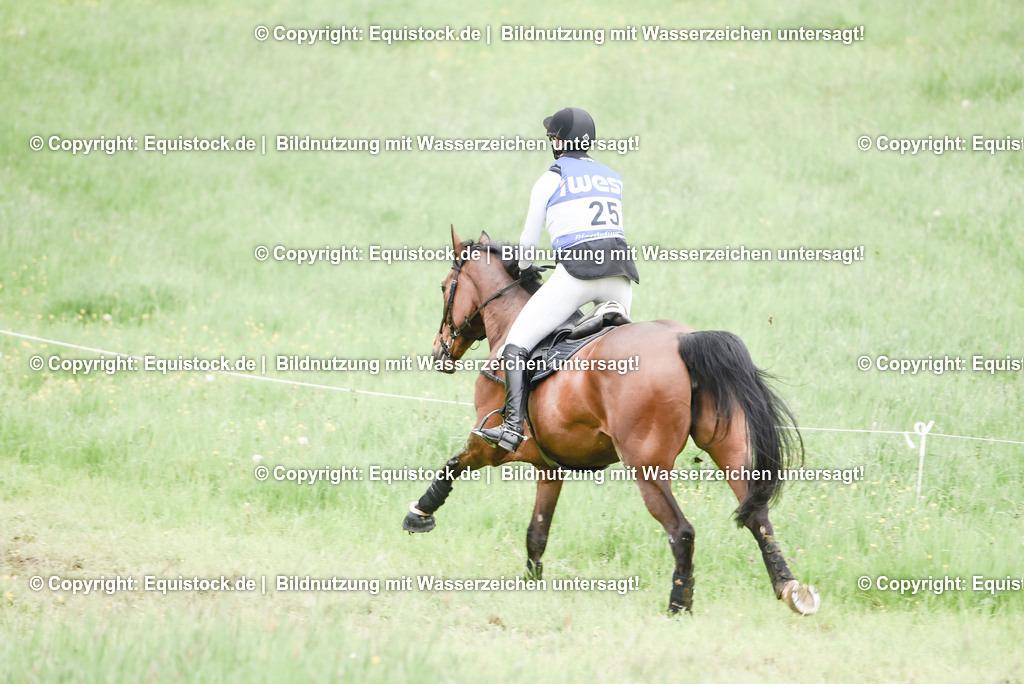 20230513_CCI4_Gelände_0322 | equistock