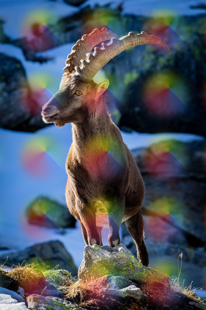 148A1122 | FineArtPrint, Hahnemühle, FeeGalerie, Fee Galerie, Fotokunst, Fotografie, Canonphotography, Bergfoto, Matterhorn, Rimpfischhorn, Allalinhorn, Saas-Fee, Wallis, Valais, Switzerland, Bergfotografie