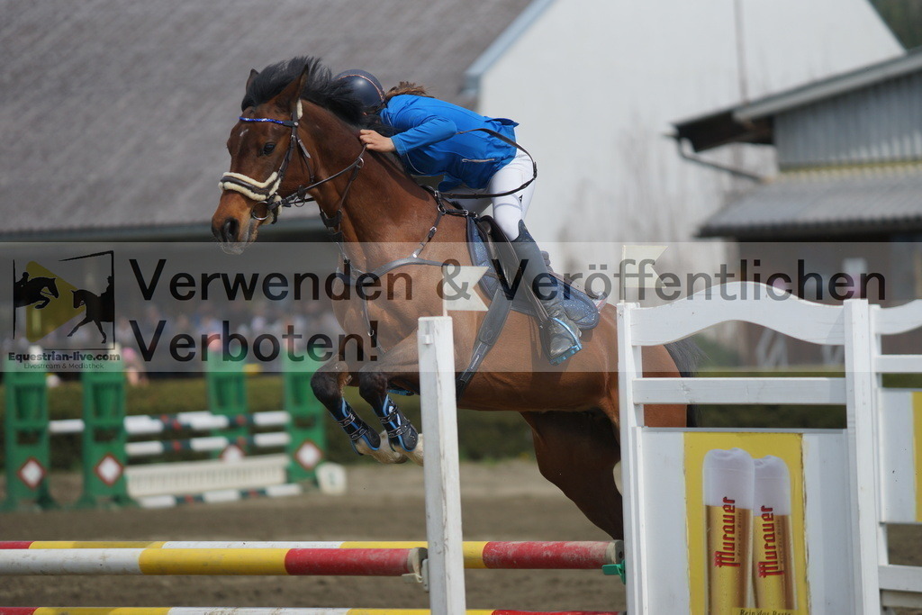 DSC04228 | equestrian-live-com