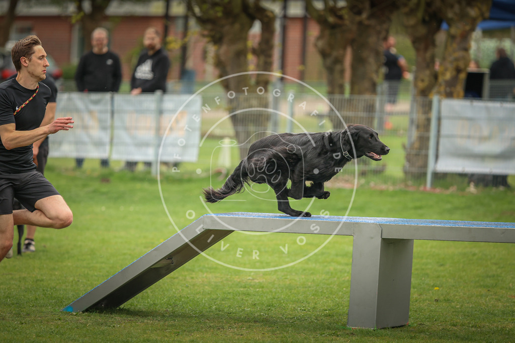 Pfotenfotografie_0L8A1477 | Hundefotografie, Tierfotograf, Pfotenfotografie, Fotoshooting Hund, Hunde Portrait, Hundesport, Hundeportraits, Heideshooting, Hunde, Sportfotograf, Hundefotograf, Turnierhundsport, THS,  - Realisiert mit Pictrs.com