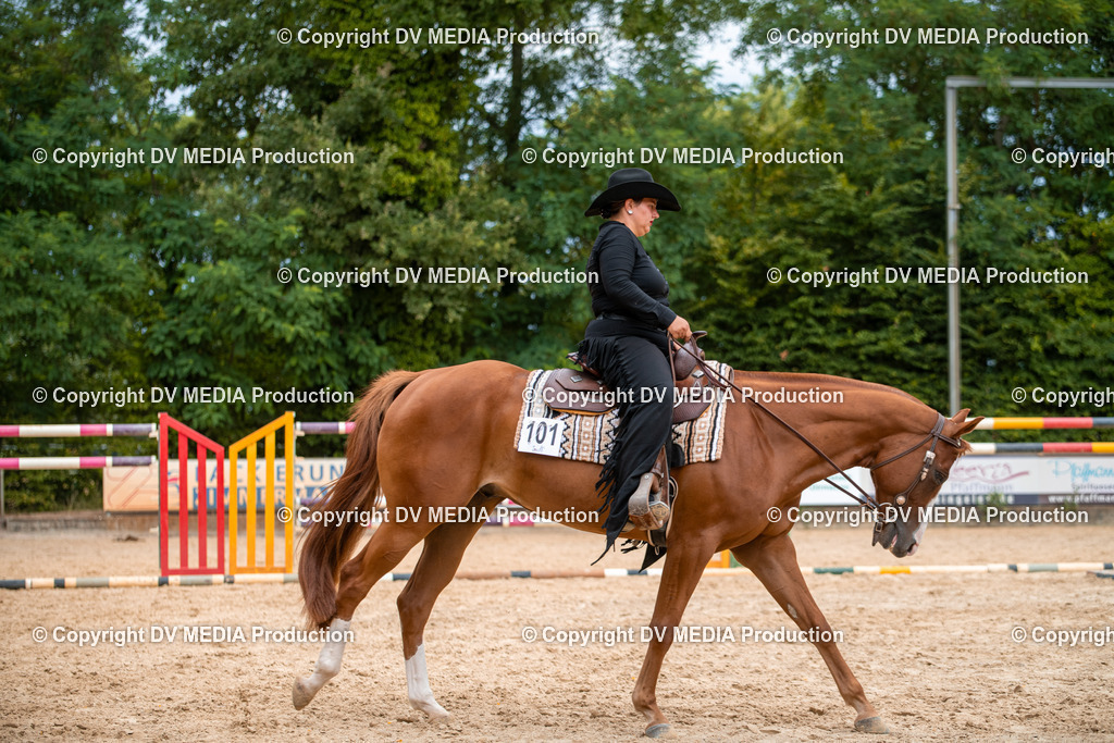 ZS2_8027 | dv-media-shop - Realisiert mit Pictrs.com