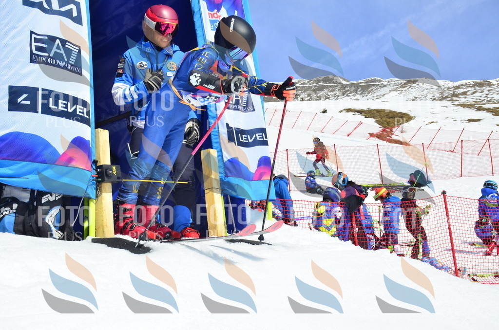 _ELE1256 | holidayphoto