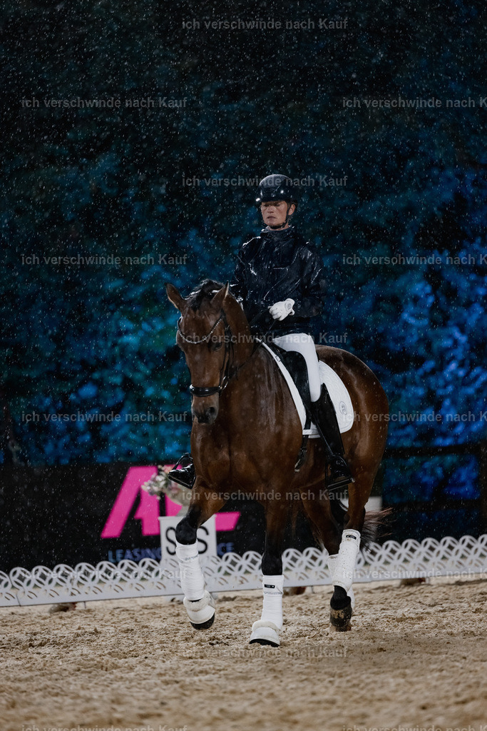 FHClassics-64 | working equitationturnier fotograf videograf stoibphotography marixx film working equitation deutschland reitsport turnierfotografie eventfotografie equestrian events