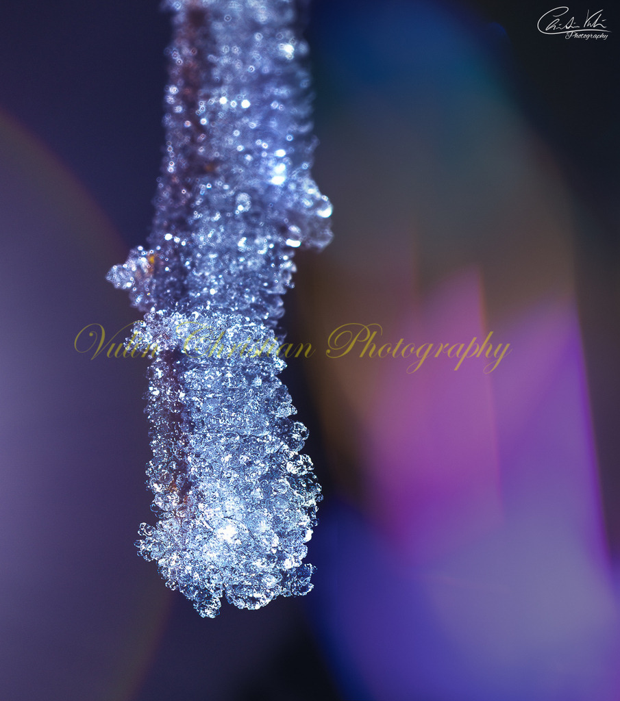 MN 37 | Christian Vulin  - Realisiert mit Pictrs.com