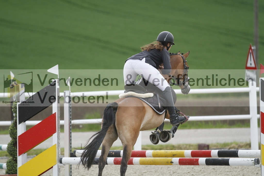 _MG_1258 | equestrian-live-com