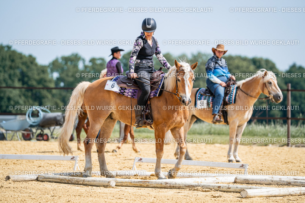 DSC00164 | Pferdegrafie