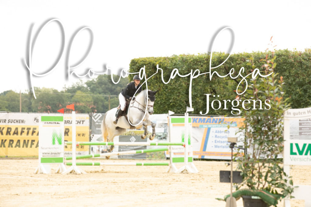 IMG_6559 | photographesa-joergens - Realisiert mit Pictrs.com