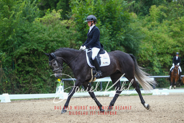 DKP40369 | Turniersportfotografie; Pferdefotografie; Dressurfotografie