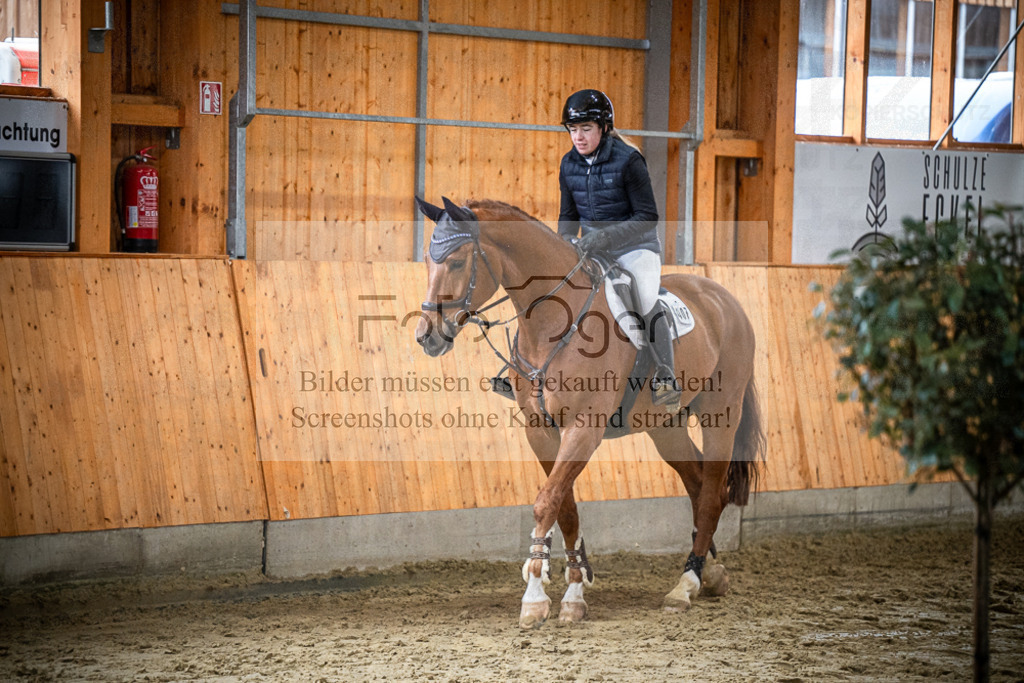 DOS_1145 | Entdecke hochwertige Reitturnierfotos von Foto Oger. Professionell, emotional und authentisch – jetzt Lieblingsmomente im Shop bestellen.Deutschlandweite Turnierfotografie. - Realisiert mit Pictrs.com