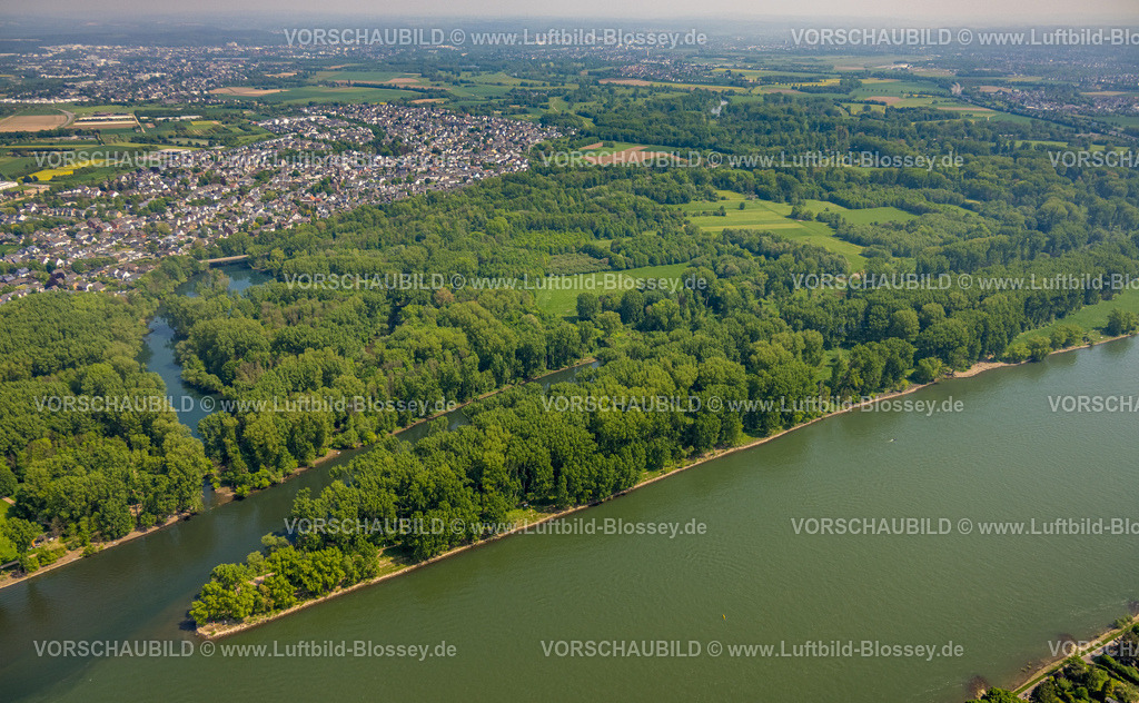Bonn240501566Siegmuendung | Luftbild, Fluss Rhein und Fluss Sieg mit Siegmündung und Waldgebiet Siegaue, Diescholl Altarm der Sieg und Waldgebiet, Ortsansicht Mondorf und Bergheim, Schwarzrheindorf, Bonn, Nordrhein-Westfalen, Deutschland